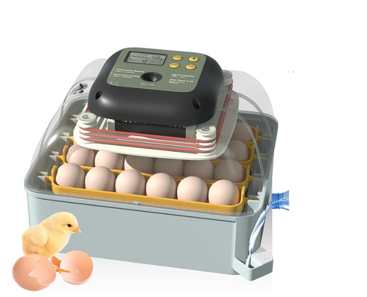 Egg incubator