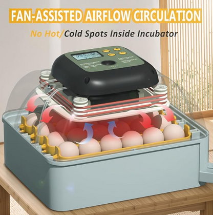 Egg incubator