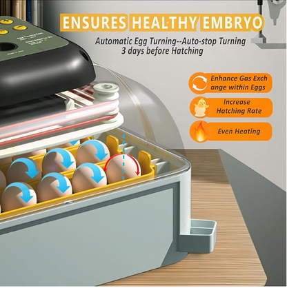 Egg incubator