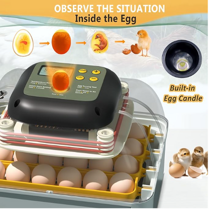 Egg incubator